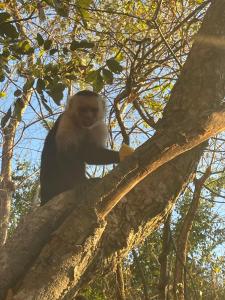 Gallery image of Marina Loft in Coco +56 photos