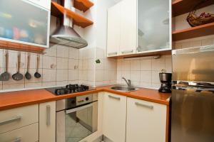 Kuchyň nebo kuchyňský kout v ubytování Apartment Di Anima