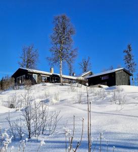 Το Stor Usjenert Hytte Med Spa Og Utsikt I Valdres τον χειμώνα