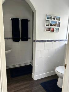 a bathroom with a toilet and a sink at Ortari@70 in Bishopston