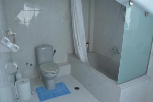 a bathroom with a toilet and a shower and a tub at Villa Basta in Vasilikos