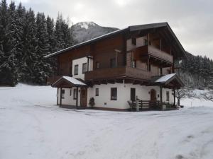Beautiful apartment in Mittersill with balcony v zime