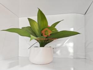 雅加达Stylish 2BR MOI Apt with Pool, Gym, Wi-Fi的相册照片
