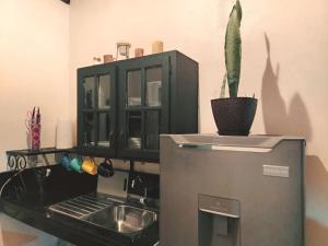 a kitchen with a sink and a cabinet with a cactus at Valle de Ángeles Entre Hamacas y Fogatas in Valle de Ángeles