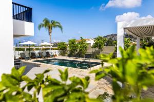 una piscina con sillas y una palmera en Villa Cloxania Coral, en Peyia