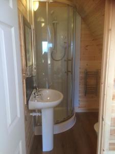 a bathroom with a glass shower and a sink at Loch Shin Glamping Pods in Lairg