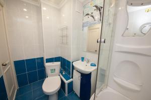 a small bathroom with a toilet and a sink at Apartment On Dobrovolcheskoy Brigady in Krasnoyarsk