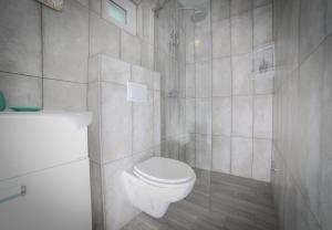 un bagno bianco con wc e doccia di Villa Baras garden - house with pool a Mirce