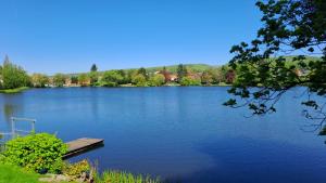 a lake with a dock in the middle of it at Apartment Hearzzeit in Herzberg am Harz