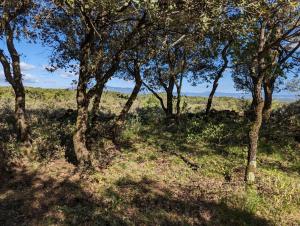 Paesaggio naturale nelle vicinanze del campeggio