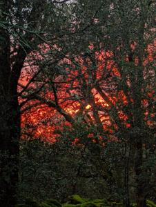 Alba o tramonto visti dall'interno del campeggio o dai dintorni