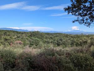 Paesaggio naturale nelle vicinanze del campeggio