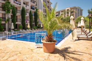The swimming pool at or close to Cascadas Holiday Apartments