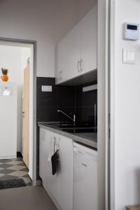 Kuchyň nebo kuchyňský kout v ubytování Búzavirág Apartmanok