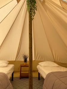 Postel nebo postele na pokoji v ubytování Camping Cap-Ouest