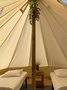 Fotografie z fotogalerie ubytování Camping Cap-Ouest v destinaci Lanvéoc
