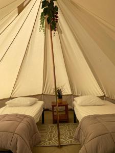 Postel nebo postele na pokoji v ubytování Camping Cap-Ouest