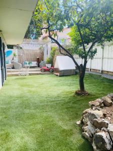 a backyard with a tree in the middle of a yard at Le Bohème 3 pièces jardin in Saint-Laurent-du-Var