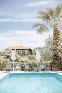 a swimming pool with chairs and a palm tree at Nick Rooms in Stavros