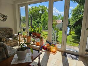 Κήπος έξω από το Apartment Moni in Lutzmannsburg, 1 km von der Sonnentherme entfernt - Apartment mit 3 Schlafzimmern