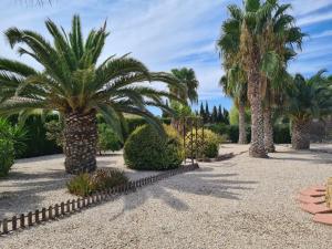 Κήπος έξω από το Charmante villa