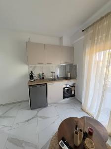 Η κουζίνα ή μικρή κουζίνα στο Apartment in Paralia Ofriniou