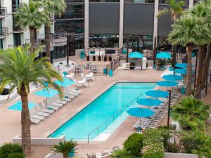 Embassy Suites by Hilton Phoenix Biltmore内部或周边的泳池