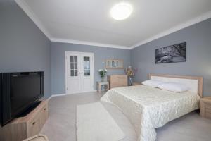 a bedroom with a bed and a flat screen tv at Apartment On Dobrovolcheskoy Brigady in Krasnoyarsk