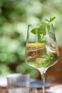 ein Glas mit einem grünen Getränk mit einer Pflanze darin in der Unterkunft Appartement Isabella in Bezau