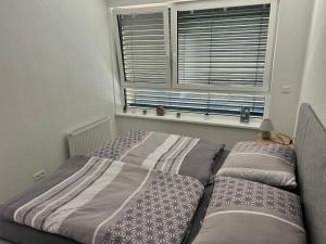a bedroom with a bed and a window and a couch at Moderné ubytovanie v Senici in Senica