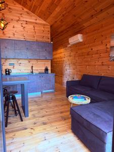 a living room with a couch and a table at Ada Bojana Beach House I XXL TerraceI BBQ I Betw BridgeBeach I Air Con in Ulcinj +26 photos