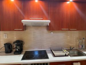 a kitchen with a sink and a stove top oven at Dió Apartman in Hajdúszoboszló