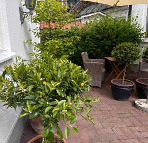 Giardino di Tiny house - in medieval Ystad