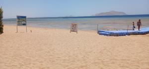 une plage avec des panneaux sur le sable et l'eau dans l'établissement Sharm hills sea view, à Charm el-Cheikh 76 autres photos
