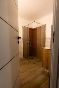 a shower with a glass door in a bathroom at CHR Vista in Nicoreşti +82 photos
