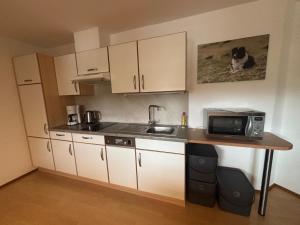 cocina con encimera, microondas y fregadero en Abendruhe, en Nauders