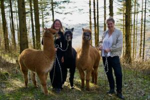 ヴィンターベルクにあるLandhotel Flora & Faunaの2人の女性が4頭のラマの隣に立っている