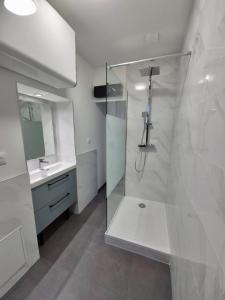 a bathroom with a shower and a sink at L'aparté Dijonnaise Hypercentre Dijon Darcy in Dijon