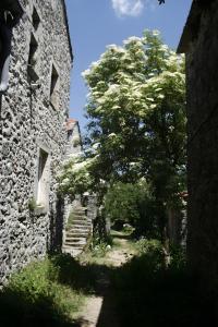 Fotografie z fotogalerie ubytování Maison Casal v destinaci Campestre-et-Luc