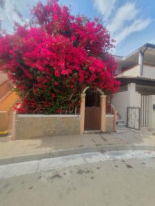 a large tree with pink flowers in front of a house at La Bouganville in Villasimius