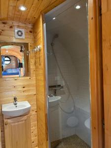 a bathroom with a shower and a sink at barrique viticole in Le Tartre