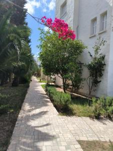 Zahrada ubytování Apartment in Yasmine Hammamet
