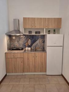 a kitchen with a white refrigerator and a sink at Vithos in Agnontas