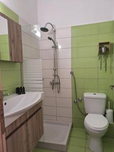 a green and white bathroom with a toilet and a shower at Vithos in Agnontas