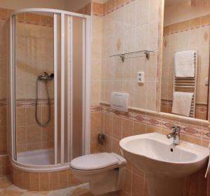 a bathroom with a shower and a toilet and a sink at Hotel Orix in Jáchymov +37 photos