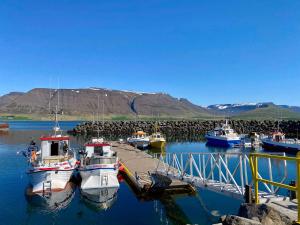 a group of boats docked at a dock in the water at KEX Þingeyri in Þingeyri