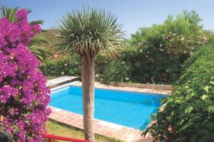 een palmboom naast een zwembad met paarse bloemen bij Casa San Miguel in San Miguel de Abona