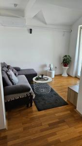 una sala de estar con un sofá y una mesa en Casa Danubia, en Veliko Gradiste 1 foto más