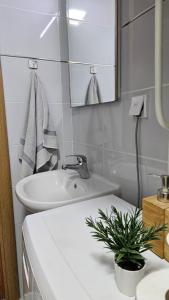 Un baño con lavabo, inodoro y espejo. en Casa Danubia, en Veliko Gradiste