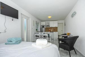 TV a/nebo společenská místnost v ubytování Studio Apartman Zlata